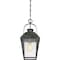 Quoizel Carriage 1-Light Mottled Black Mini Pendant CRG1510MB - alternate 2